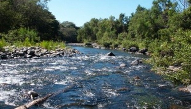 Comisiones del Senado aprueban acuerdo ambiental entre México, Canadá y EU
