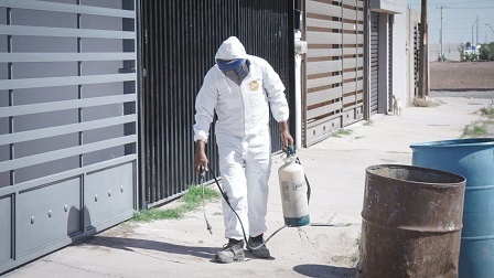 En Aquiles Serdán fumigan contra la rickettsia