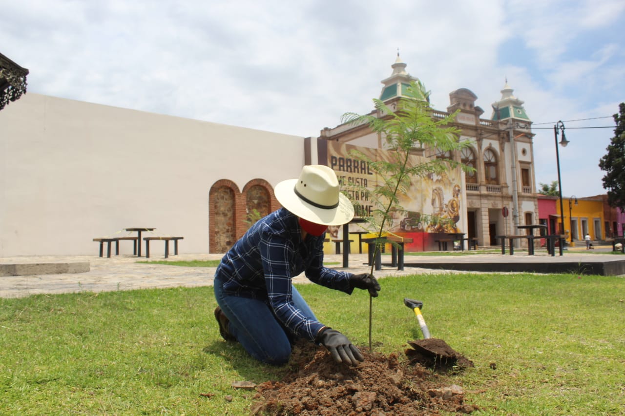 Continúa Sol Sánchez embelleciendo la ciudad.