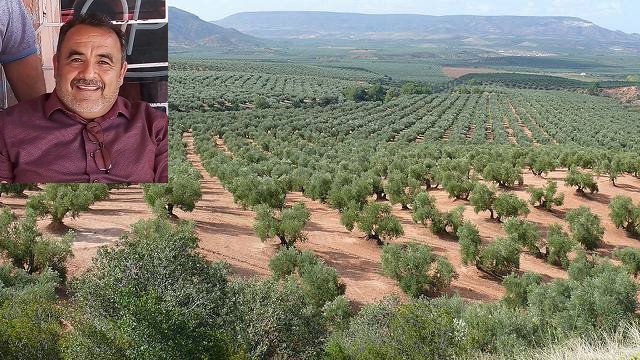 La producción de olivo en Ojinaga puede ser otra opción para el campo: Andrés Ramos
