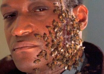 Candyman regresa a las salas de cine