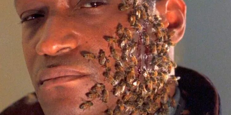 Candyman regresa a las salas de cine