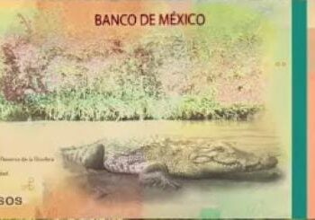 Alistan diseño de nuevo billete de 20 pesos ¡Adiós Benito Juárez!