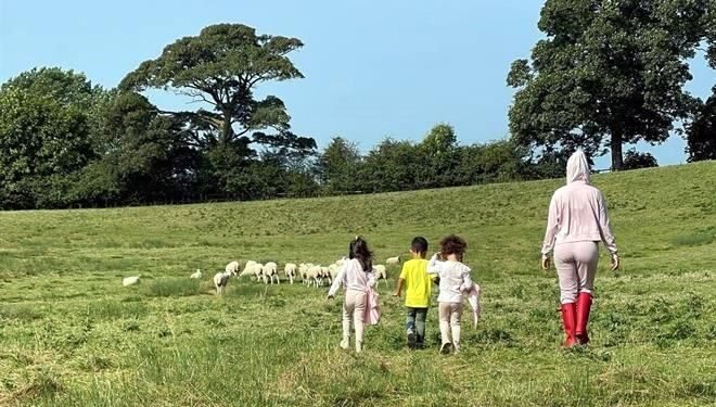 Se muda CR7 de casa por balidos de borregos