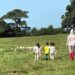 Se muda CR7 de casa por balidos de borregos