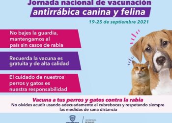 Arranca este domingo la campaña de vacunación antirrábica