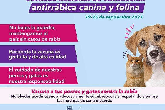Arranca este domingo la campaña de vacunación antirrábica
