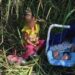 Abandonan a niña de 2 años y bebé de 3 meses a orillas del río Bravo