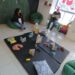 Directores de Centros de Bienestar Infantil recibirán capacitación en la ley de para desarrollo infantil