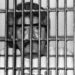 La nueva vida de Caro Quintero: una leyenda del narco aferrado a su tierra