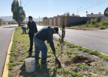 Foresta Gobierno Municipal espacios públicos y avenidas de la ciudad