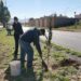 Foresta Gobierno Municipal espacios públicos y avenidas de la ciudad