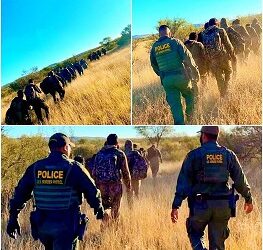 La border patrol detiene varios grupos de indocumentados, entre ellos un delincuente sexual.