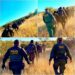 La border patrol detiene varios grupos de indocumentados, entre ellos un delincuente sexual.