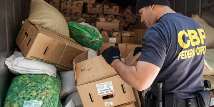 Recuerda CBP qué frutas y plantas usadas en Día de Muertos está prohibido cruzar