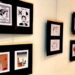 Hoy último día para visitar la exposición de cartón político en la Sala de Arte Germán Valdés Tin Tan