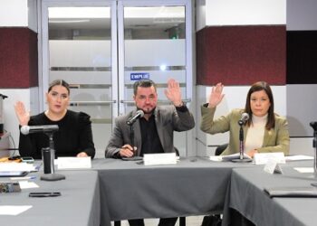 Analizan diversos asuntos turnados a la Comisión de Educación