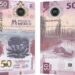 Conoce el nuevo diseño del billete de 50 pesos