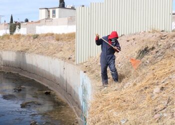 Retiran maleza y basura de 46 calles y avenidas de la ciudad