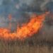 Fuerte incendio en pastizal