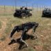 Contemplan usar ‘perros robot’ para vigilar la frontera con EEUU