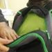 ¿Es legal que los profesores revisen la mochila de tus hijos en la escuela?