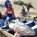 Capturan enorme tiburón en Sonora; sospechan que devoró a un pescador