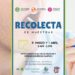 ¿Quieres ayudar a salvar una vida? Dona médula ósea, en la UACH te decimos cómo