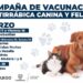 Informan fechas y lugares de la campaña de vacunación antirrábica en Camargo