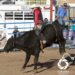 Destacan jinetes juarenses en la segunda etapa doble del campeonato Estatal Infantil y Juvenil de Rodeo