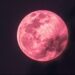 Luna Rosa qué es y cuándo se podrá observar en el cielo de México