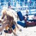 Darán clínicas de rodeo en Arteaga