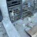 Recomiendan limpiar patios en casa para evitar proliferación de garrapatas