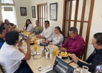 El PRI tiene que regresar a su origen y encabezar las causas sociales: Alejandro Domínguez