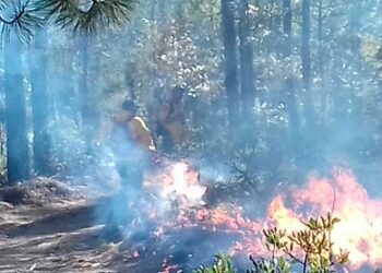 Continúan 3 incendios forestales en 3 municipios
