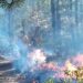 Continúan 3 incendios forestales en 3 municipios