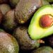 Alcanza aguacate los $99.90 por kilo