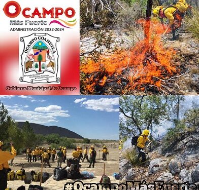 Realizan exitosa labor brigadistas y personal especializado de combate contra incendios forestales en Ocampo
