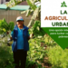 Lanzan curso virtual de agricultura urbana en Ojinaga