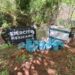Ejército Mexicano colabora con la Guardia Nacional en la localización de ocho laboratorios clandestinos, 189 litros y 103 kilogramos de metanfetamina en Sinaloa y Durango