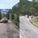 Lluvias dejan roca a media carretera de Parral a Gpe y Calvo