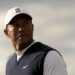 Tiger Woods rechazó 800 mdd para unirse al LIV Golf Series