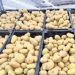 Lidera la papa alza en alimentos