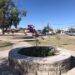 Reforestación del parque en el Fraccionamiento Pegüis, dentro de la obra de rehabilitación que se encuentra en su etapa final.