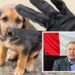 Quieren que MPs encuentren mascotas; proponen hasta 2 años de cárcel: Ismael Pérez Pavía