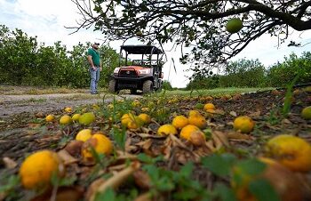 Huracán Ian causó daños graves a la agricultura de Florida