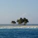 La Isla Clipperton en el océano pacífico, su trágica historia y cómo México pierde su último territorio; ¿desidia, ingenuidad, entreguismo?… el caso es que la perdimos. Por: José Luis Jaramillo Vela