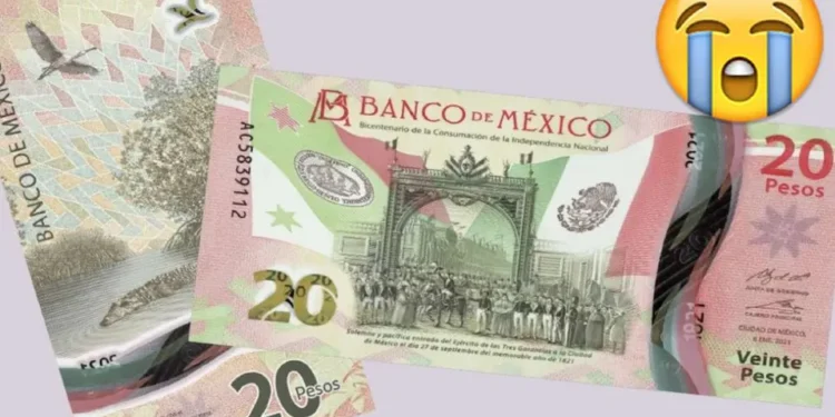 ¿Cuándo? Nuevo billete de 20 pesos dejará de circular