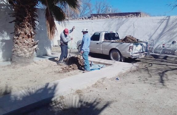 El Departamento de Parques y Jardines realiza trabajos de limpieza y recolección de basura en el Museo Municipal y Auditorio Municipal