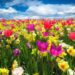 La razón científica del por qué la primavera se adelantará al 20 de marzo en 2025